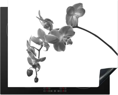 Produktbild von KitchenYeah© Herdabdeckplatte Orchidee vor weißem Hintergrund - schwarz und weiß , 65x52cm, Küche Deko, Glaskeramikkochfeld Herdabdeckung, Abdeckplatte fùr Kochfeld