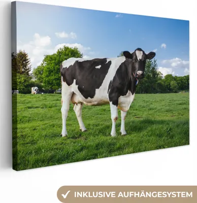 Produktbild von OneMillionCanvasses® - Leinwandbilder - 150x100 cm, Kuh - Schwarz - Weiß - Niederlande, Wandbilder Kunstdruck Wanddekoration