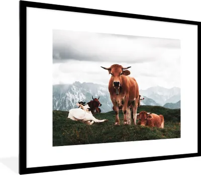 Produktbild von MuchoWow® Gerahmtes Poster Tiere - Kuh - Berg 80x60 cm - Poster mit Schwarzem Bilderrahmen Wandposter Rahmen Foto Bilder - Schlafzimmer-Dekorationen - Fotoposter