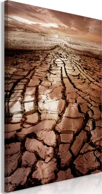 Produktbild von Vlies Leinwandbild - Drought (1 Part) Vertical 20x30 cm Landschaften c-C-0223-b-a
