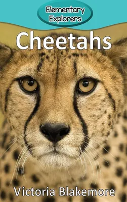 Produktbild von Cheetahs