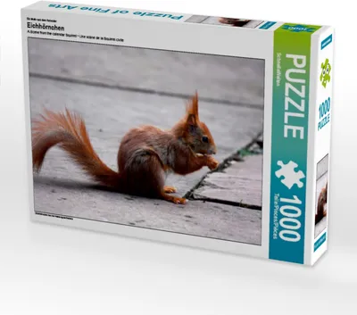 Produktbild von Calvendo Ein Motiv aus dem Kalender Eichhörnchen 1000 Teile Puzzle quer 640x480mm, CALVENDO; 7282224