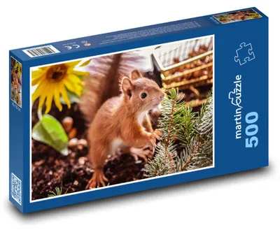Obrázek produktu pro martinpuzzle - Puzzle 500 - Veverka na zahradě