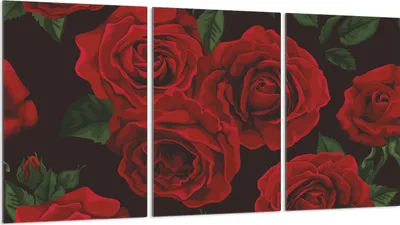 Produktbild von Glasschutzplatte für Herd 3x30x52