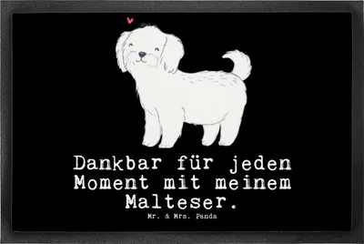 Produktbild von Mr. & Mrs. Panda Schmutzfangmatte Malteser Moment 50 x 75 cm - Schwarz - Geschenk, Abtreter, Fussmatte, Fußabtreter, fußmatte, Schmutzmatte