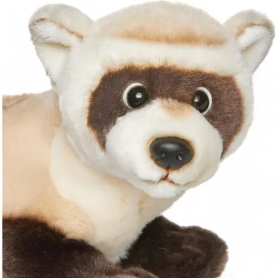 Zdjęcie produktu dla Fretka Carl Dick ok. 24 cm, 38 cm z ogonem 2598 Przytulanka, miękka zabawka, pluszak