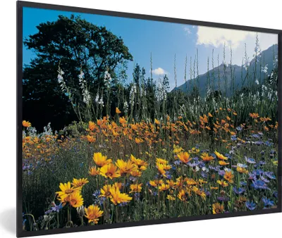 Produktbild von MuchoWow® Gerahmtes Poster Blumen - Natur - Farbe 30x20 cm - Poster mit Schwarzem Bilderrahmen Wandposter Rahmen Foto Bilder - Kunstdruck - Bild-Poster