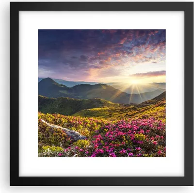Produktbild von Gerahmtes Poster - Schwarzer Rahmen - Gebirge Wiese Landschaft Wald - 30x30 cm - Wand Bild - Wanddeko - Wandbilder - Wandposter - Bilderrahmen - Bilder - Kunstdruck - Wandbild - P2BAC30x30-3152