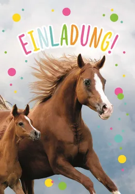 Produktbild von KOMMA³ 50-023 Einladungskarte Kindergeburtstag - 6 Stück, inkl. Umschlag