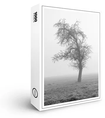 Produktbild von raxxa Premium-Puzzle "im Morgennebel", 1000 Teile