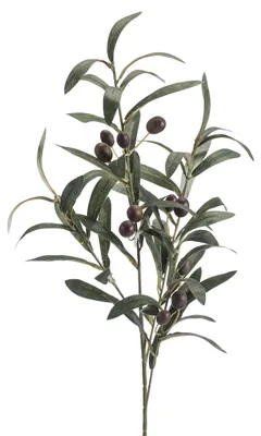Produktbild von künstlicher Olivenzweig mit 4 Zweigen H. 75cm grün braun Emerald Kunstblumen