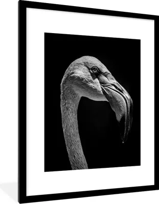 Produktbild von MuchoWow® MuchoWow® Gerahmtes Poster Tierporträt Flamingo in schwarz und weiß 60x80 cm - Poster mit zchwarzem Bilderrahmen - Wohnzimmer - Dekorationen - Prämie