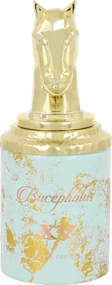 Obrázok produktu pre Armaf Bucephalus No. XV parfémovaná voda pre mužov 100 ml