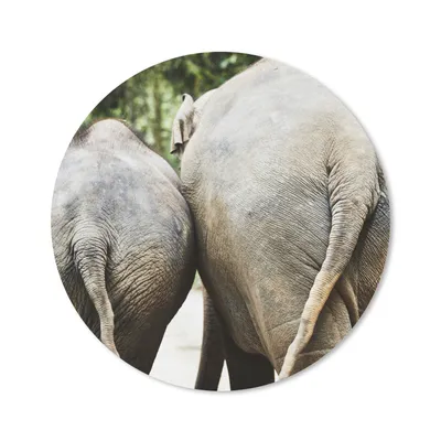Produktbild von MuchoWow® Mauspad Mousepad Elefant - Tiere - Grau - Natur 20x20 cm - Mousepads - Maus Mat - Pad - Mausunterlage - Schreibtischmatte