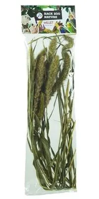 Image de Retour Zoo Nature Millet Setaria