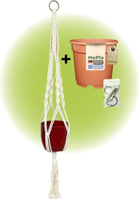 Produktbild von MePla - Set - Ampel Makramee Naturbeige - Basel ø13 Bordeaux + Kulturtopf ø12 + Beipack-Set 21550-001