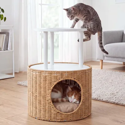 Image de Panier pour chat HWC-Q59, cabane pour chat avec zone d'escalade et plateforme, panier/meuble pour chat en bois FSC®, 50x39x39 cm, couleur : blanc, coussin : beige, productTiles.product.images.aiGenerated