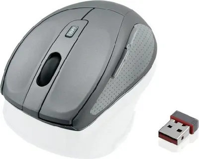 A gray wireless computer mouse and its USB receiver are shown against a white background.