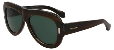 Image de Lunettes Ferragamo sf2029se221