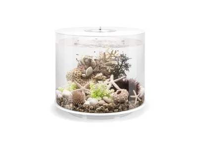 Obrázek produktu pro Akvárium biOrb TUBE 35 MCR bílá