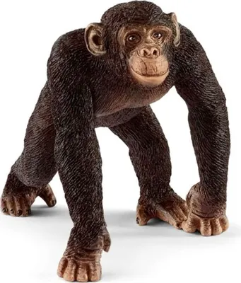 Produktbild von Schleich Wildes Leben Schimpanse A+ Tierfiguren Braun  Braun One Size
