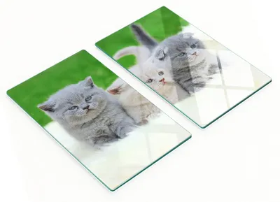 Imagen del producto de Bandejas de vidrio con tres motivos de gatos (2 x 30 x 52 cm)