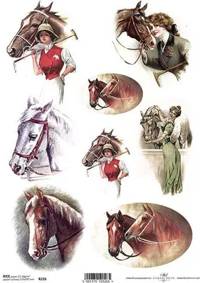 Immagine prodotto di ITD carta di riso per decoupage, cavalli R0226