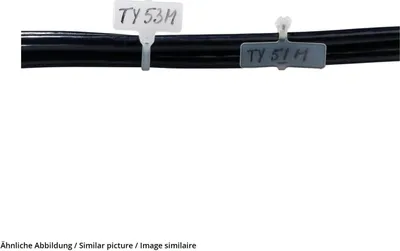 Zdjęcie produktu dla "Kabelbinder Ty-Rap Ty 532 M 212X2,4 Na"