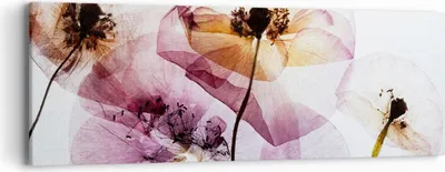 Produktbild von Bild auf Leinwand - Leinwandbild - blume sommer natur - 90x30cm - Wand Bild - Wanddeko - Wandbilder - Leinwanddruck - Bilder - Kunstdruck - Wanddekoration - Leinwand bilder - Wandkunst - AB90x30-3821
