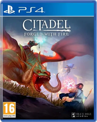 Produktbild von Citadel: Forged with Fire (PS4)