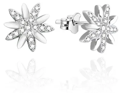Immagine prodotto di Orecchini in argento con zirconi chiari AGUP3449