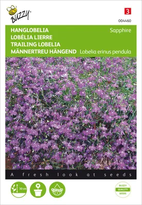Artikelbild 2 von 'Männentreu hängend Saphir blau' aus der Kategorie Blumensamen