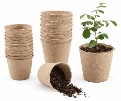 Productafbeelding van Planter EURO nářadí 150523 papier 6 x 6 cm-verpakking van 36 stuks