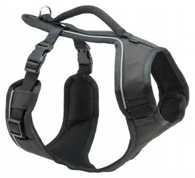 Imagen del producto de Arnés EasySport, color: negro, talla: mediana - 56-76 cm