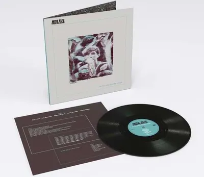 Obrázek produktu pro Midlake: (180g) - - (Vinyl / Rock (Vinyl))