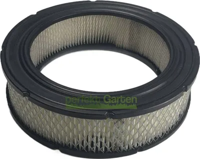 Produktbild von Luftfilter für Briggs & Stratton B&S 54 & 61 Motoren Modelle 21-23PS 4232 692519