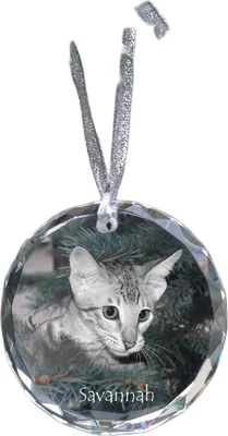 Image de Savannah - décoration en cristal avec photo, photo de chat dans du cristal, décoration de Noël personnalisée de la marque Art-Dog