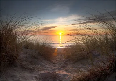 Produktbild von Wallario Poster - Sonnenuntergang am Strand, Kunstdruck Größe: 70 x 100 cm