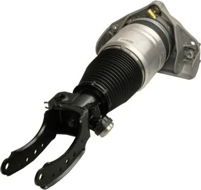 Image de Jambe de suspension pneumatique
