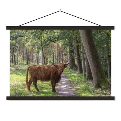 Produktbild von MuchoWow® Textilposter Schottischer Highlander - Kröte - Baum 90x60 cm mit schwarzem Rahmen - Aufhängungssatz