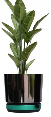 Produktbild von Kerd DEKOR 32 DUO Pflanztopf Zweifarbig Schwarz Grün Modern