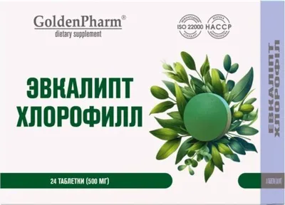 Produktbild von Eukalyptus + Chlorofilipt 24 Tabletten à 500 mg