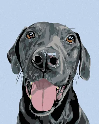 Produktbild von Diamondi - Diamond painting - SCHWARZER SCHÖNLING, 40X50 cm, ohne Keilrahmen