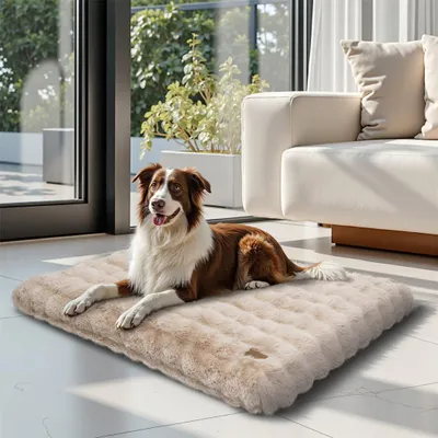A dog is lying on a plush dog bed in a modern living room with large windows and a sofa.