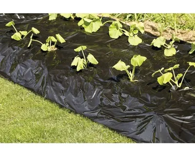 Obrázek produktu pro Mulčovací fólie 10 x 1,2 m černá