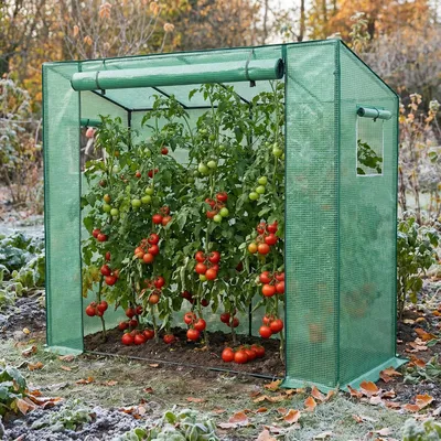 Zdjęcie produktu dla Tunel foliowy QEENTOE z 2 oknami wentylacyjnymi, stabilna konstrukcja, idealny do uprawy pomidorów i zapewniający optymalny wzrost roślin, wymiary: 200x80x150 cm