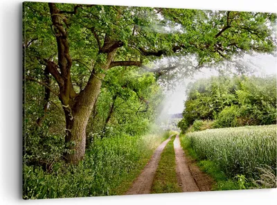 Produktbild von Bild auf Leinwand - Leinwandbild - Pfad Natur Wald Grün - 120x80cm - Wand Bild - Wanddeko - Leinwanddruck - Bilder - Kunstdruck - Wanddekoration - Leinwand bilder - Wandkunst - AA120x80-2637