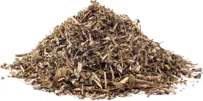 Produktbild von CHANCA PIEDRA (Phyllantus niruri linn) - Kraut, 100g