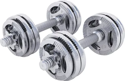 Produktbild von GORILLA SPORTS® Kurzhanteln - 30kg, 2er Set, 4x1,25kg, 8x2,5kg Gewichte, Gusseisen Hantelscheiben, 30mm, mit 4 Sternverschlüssen, Griff gerändelt, Rutschfest, Silber - Hantelset, Kurzhantelset