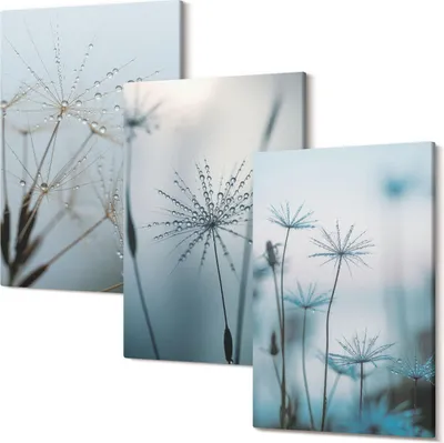 Produktbild von Leinwandbild – Wandbild – Leinwandbilder – Kunstdruck – Polycanvas – Modern – Mehrteilig – 3-Teilig Set – Hochwertig – Geruchslos – Lichtecht – Fertig Aufgespannt – 40x60 Cm Je Teil - Zarte Löwenzahnblüten mit Wassertropfen
